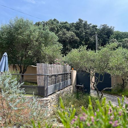Villa Pierre Blanche Le Calme A 5Mn Du Centre Ville Nimes Luaran gambar